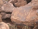 twyfelfontein